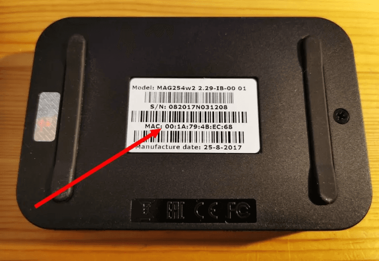 MAG setup — step 1: Send Your MAC Address