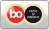 NL| BOLLENSTREEK OMROEP logo