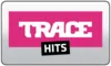 NL| DUTCH HITS logo