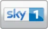 DE| SKY MAX 1 4K logo