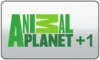 BG| ANIMAL PLANET logo