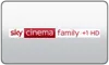 UK| SKY CINEMA HITS FHD logo