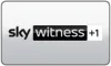 UK| SKY WITNESS FHD logo
