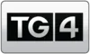 IR| TG4 logo