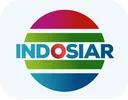 VD| INDOSIAR logo