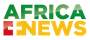 VD| AFRICANEWS logo