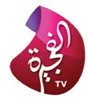 STC| FUJAIRAH TV ʰᵉᵛᶜ logo
