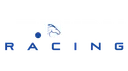 STC| DUBAI RACING ʰᵉᵛᶜ logo