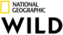GR| NATIONAL GEOGRAPHIC WILD HD logo