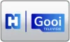 GR| NOTIOI TV logo