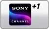 DE| SONY CHANNEL FHD logo