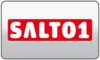 DE| SAT.1 HD logo