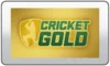 US| WILLOW CRICKET logo