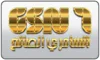 US| GSN HD logo