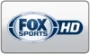 US| FOX SPORTS DETROIT HD logo