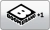 ENF| BOOMERANG HD logo