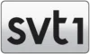 SWE| SVT 1 VÄRMLAND logo