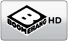 SWE| BOOMERANG logo