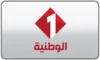 AR| TUNISIA 1 FHD +6H logo