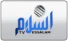 SOM| SAAB TV logo