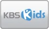 US| PBS KIDS logo